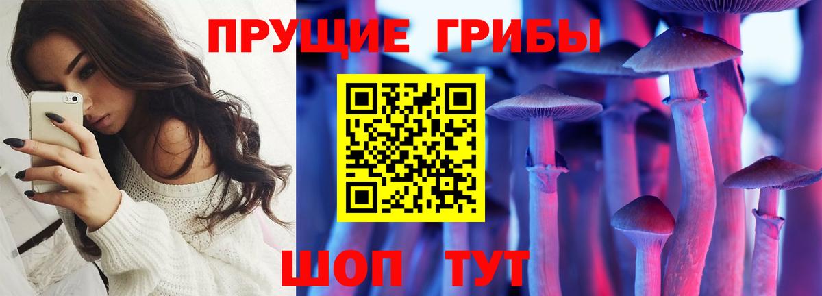 Галлюциногенные грибы Cubensis  Галлюциногенные грибы MAGIC MUSHROOMS  Вход с VPN  Миллерово 